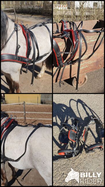 Neuwertiges Zweispännergeschirr Pony, KL, Horse Harness, Niederstetten , Image 8
