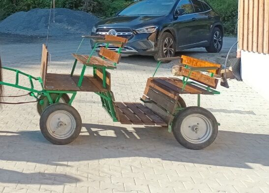 Pony Kutsche, Zeuge , Kutschen, Nottuln