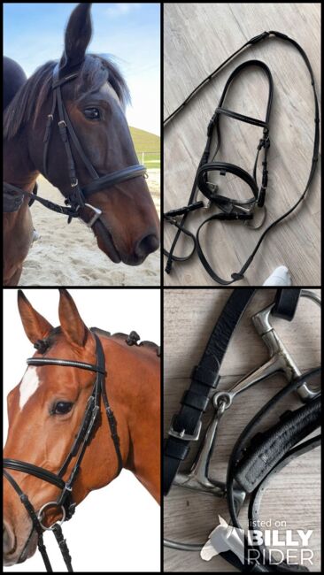 Pony Loesdau Trensenzaum Diamond II Leder + D-Ring-Trense 11,5, Loesdau Diamond II, M.M., Bridles & Headstalls, Burghausen, Image 9