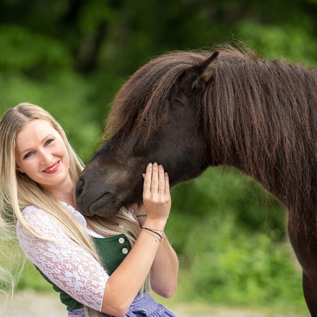 Pony Maxi sucht Bestplatz, Lena, Horses For Sale, Deutschlandsberg, Image 3