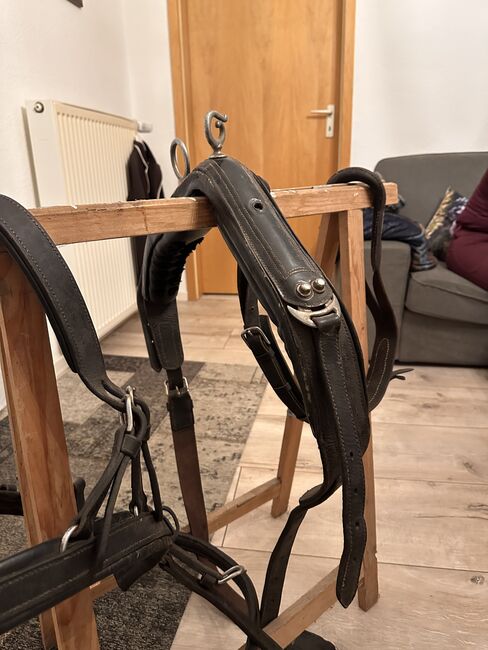 Fahrgeschirr Pony, Anna-Lena Baumert, Horse Harness, Mittelstenahe