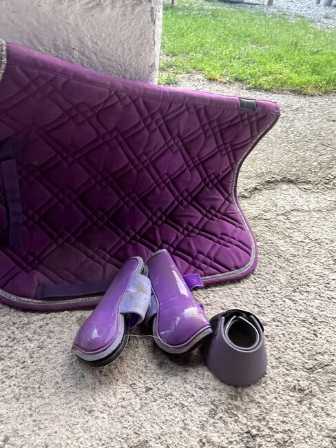 Pony Set lila, Susanne , Dressage Pads, Ellmau , Image 3