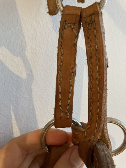 Pony Sidepull, Susanne , Bitless Bridles, Bad Schussenried Dunzenhausen, Image 3