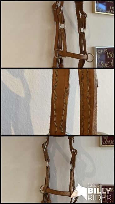 Pony Sidepull, Susanne , Bitless Bridles, Bad Schussenried Dunzenhausen, Image 4