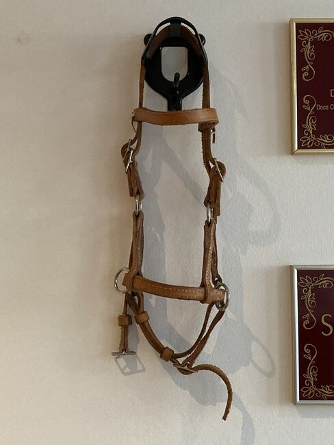 Pony Sidepull, Susanne , Bitless Bridles, Bad Schussenried Dunzenhausen, Image 2