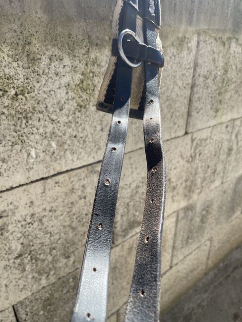 Pony Haltegurt/Longiergurt, /, Jessi, Girths & Cinches, Calw, Image 3