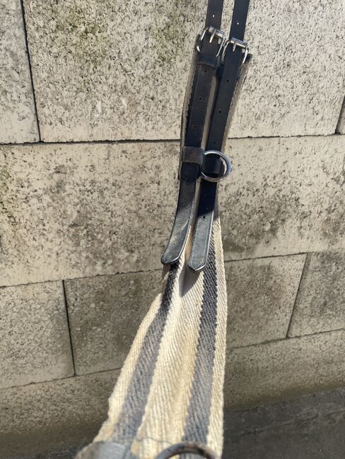 Pony Haltegurt/Longiergurt, /, Jessi, Girths & Cinches, Calw, Image 2