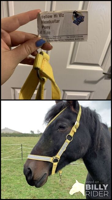 Pony sized headcollar, Charlie Moss, Kantary, Image 3