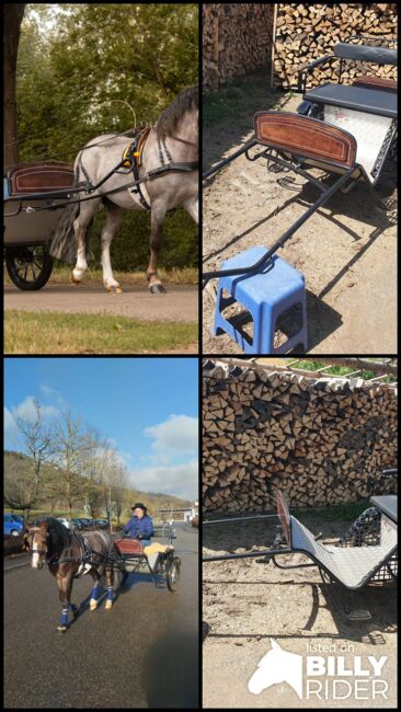 Pony Sulky/ Gig, KL, Carriages, Niederstetten , Image 8