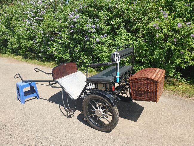 Pony Sulky/ Gig, KL, Carriages, Niederstetten , Image 6