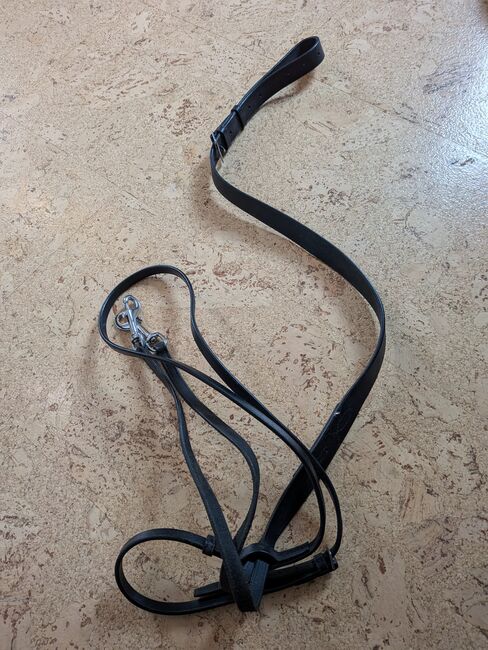 Pony Thiedemann Zügel, Loesdau , Laura Eckel , Training Aids, Bonn