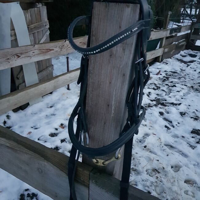 Pony Trense, Hope, Reithalfter, Wolfenbüttel