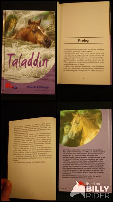 PonyClub Buch, Pferdebuch, Pferdegeschichte Taladdin, Mink, Bücher, Dorsten, Abbildung 5