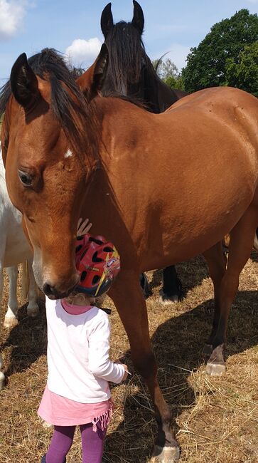 Ponycamp auf dem Lautertalhof, Janina Sausse , Riding Holidays, Lautertal, Image 2