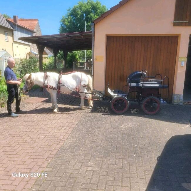 Pony-Wagonette, De Lemerij Wagonette, Katrin Özcan, Carriages, Eiersheim, Image 5
