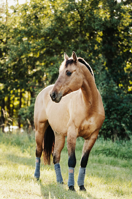 Beratung im Kauf/Verkauf von Pferden, Erlangen, Strong Together Horsetraining UG, Verena + Janina, Kursy i seminaria, Ailersbach