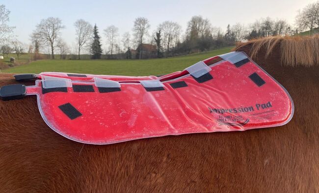 Port Lewis Impression Pad- Sattelkontrolle pad, Port Lewis Impression pad, Elite Equestrian (Elite Equestrian), Siodło akcesoria, Güssing, Image 2
