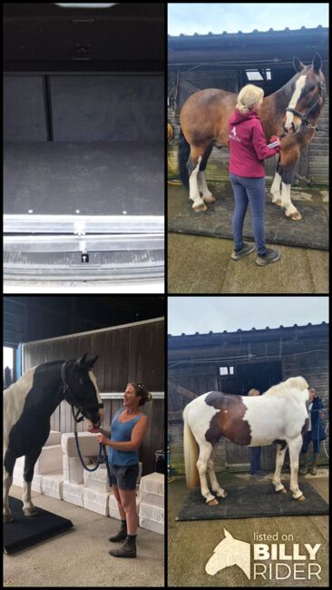 Portable horse weighing platform, Equi 3 , Lawrence, Horse Feed & Supplements, Launceston, Image 12