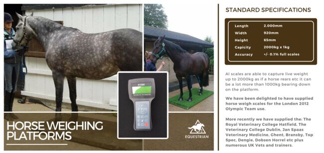 Portable horse weighing platform, Equi 3 , Lawrence, Horse Feed & Supplements, Launceston, Image 2