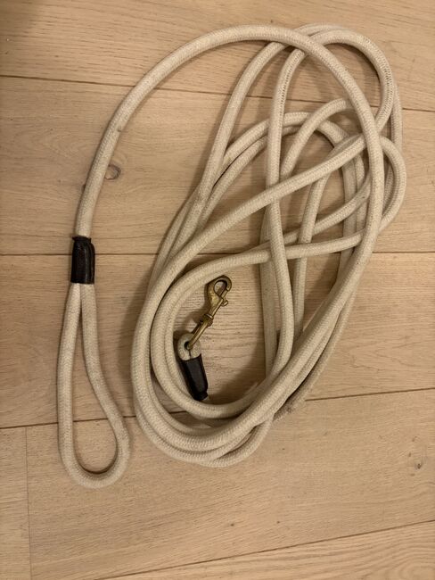 Portugiesische Longe, Désirée, Longieren, Uerzlikon