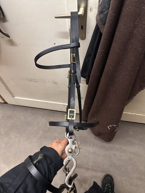 Portugiesische Trense neu, Steffi, Bridles & Headstalls, Vohenstrauß 