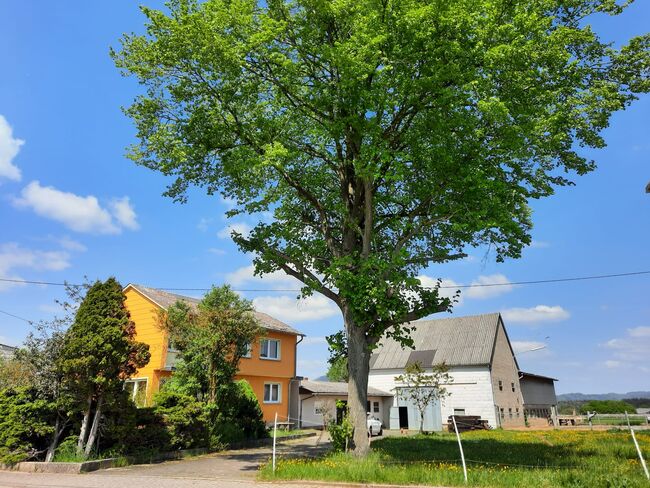 Pferdeimmobilie- Bauernhof- landwirtschaftliche Hofstelle, Manu Bee, Nieruchomości jeździeckie, Eichenbach