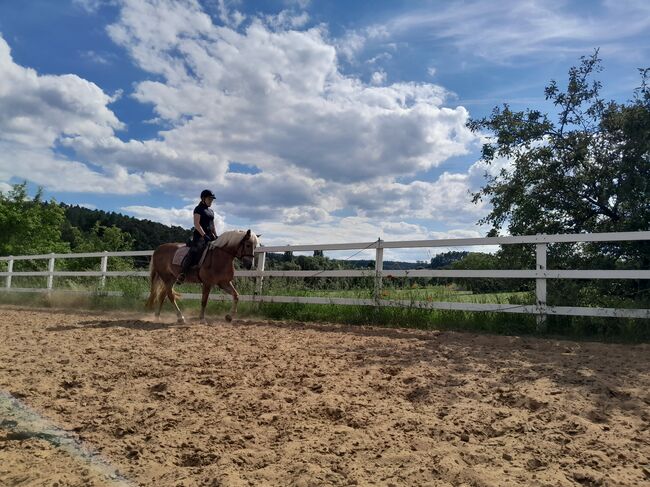 Reitbeteiligung gesucht (Reiterin sucht pferd), Annalena zill , Horse Sharing
, Neuhof zenn, Image 2