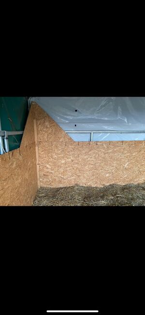 Innenverkleidung weidezelt 3,6 x 4 m aus OSB-Platten, Klaudia, Stabilne maty, Velbert, Image 3