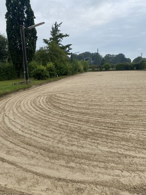 Gewerbefläche 158qm auf privater Reitanlage zu vermieten, Cornelia Albers, Nieruchomości jeździeckie, Alpen , Image 3