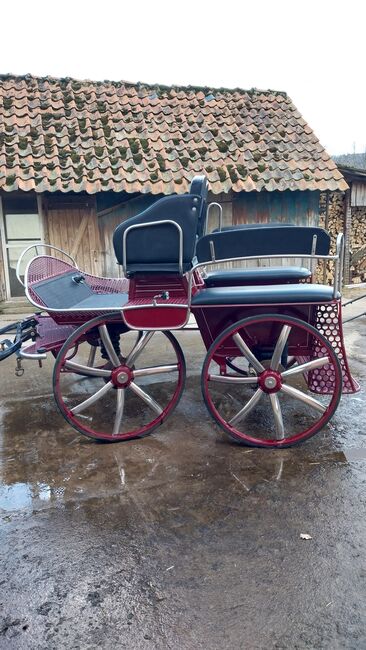 Kutsche,  Fahrschulwagen, Wagonette, Weiss, Powozy konne, Bückeburg , Image 4