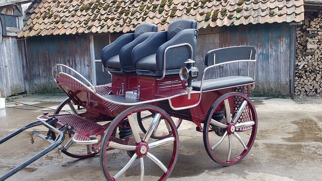Kutsche,  Fahrschulwagen, Wagonette, Weiss, Powozy konne, Bückeburg , Image 7