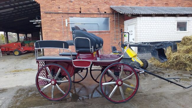 Kutsche,  Fahrschulwagen, Wagonette, Weiss, Powozy konne, Bückeburg , Image 2