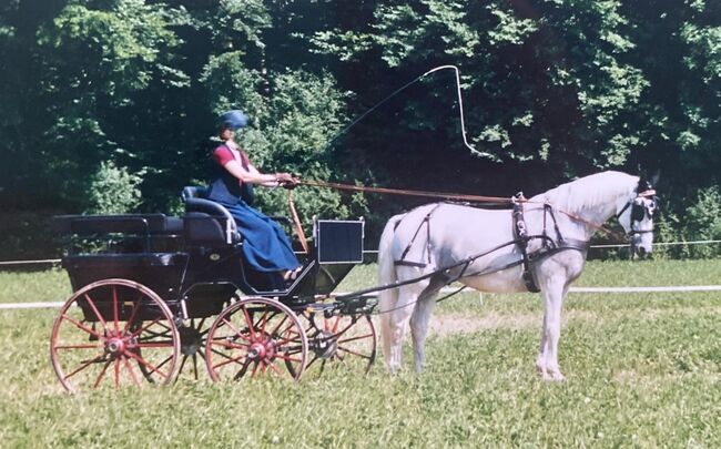 Pferdekutsche: Hochwertige, dunkelblaue SW-Wagonette, SW Wagonette, Patricia, Powozy konne, Baar