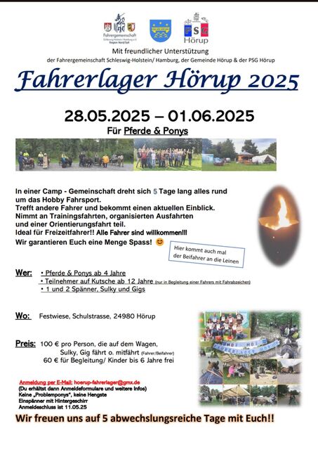 Kutsche, Training, Fahrerlager, Pony, Shetty, Sandfuchs, Nauka jazdy konnej, Hörup