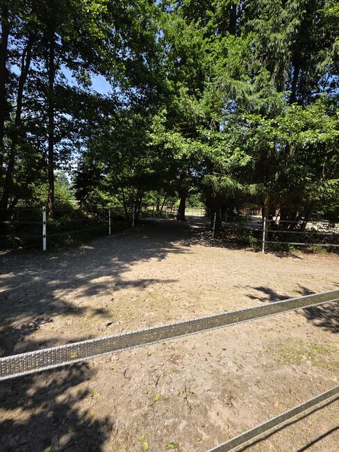 Wunderschönes Anwesen für Pferdeliebhaber, Anna, Equestrian Properties, Oyten, Image 4