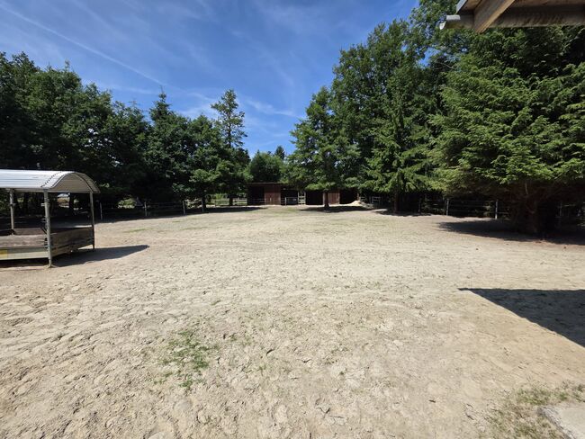Wunderschönes Anwesen für Pferdeliebhaber, Anna, Equestrian Properties, Oyten, Image 3