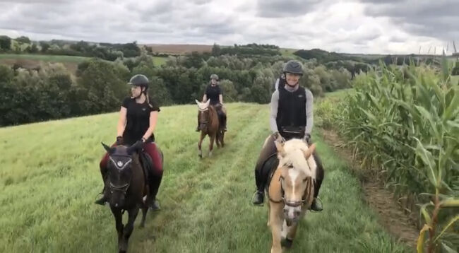 Schöne Ausritte, Kronwitter Petra , Riding Holidays, Mainbernheim, Image 14