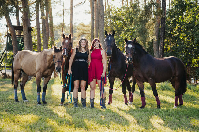 Praktikumsstelle im Pferdesektor, Erlangen-Höchsatdt, Strong Together Horsetraining UG, Verena + Janina, Stellenangebote, Ailersbach