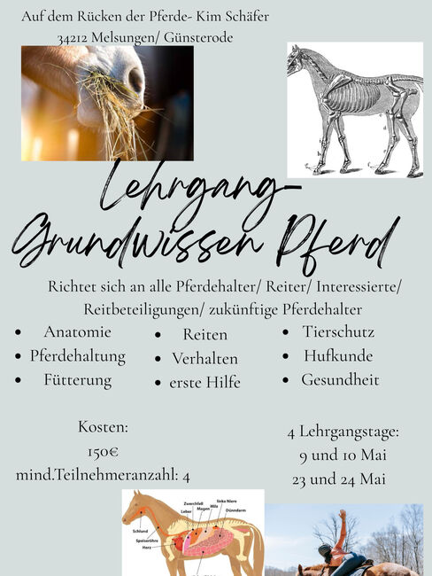 Pferdeführerschein/ Grundlagen Pferde, Kim Schäfer  (Kim Schäfer- Auf dem Rücken der Pferde), Kursy i seminaria, Melsungen 