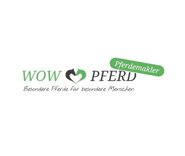 PRE Pura Raza Española, Hengst, 14 Jahre, Buckskin (Falbe), 1,60m Stm., WOW Pferd  (WOW Pferd), Pferd kaufen, Bayern - Attenkirchen, Abbildung 7