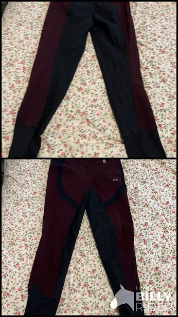 Premier Equine Ladies Breeches, Premier Equine , Lisa Bibby , Breeches & Jodhpurs, Brechin, Image 3