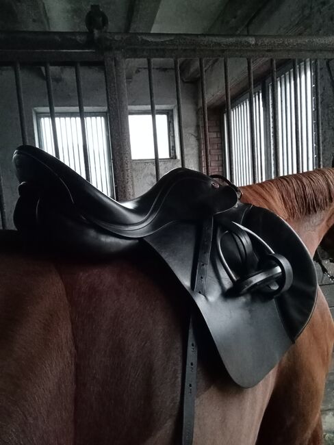 Prestige 17/ 32 VS, Prestige Silver Star, Jennifer Vehrenkamp, All Purpose Saddle, Husum , Image 5