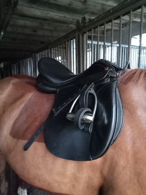 Prestige 17/ 32 VS, Prestige Silver Star, Jennifer Vehrenkamp, All Purpose Saddle, Husum 