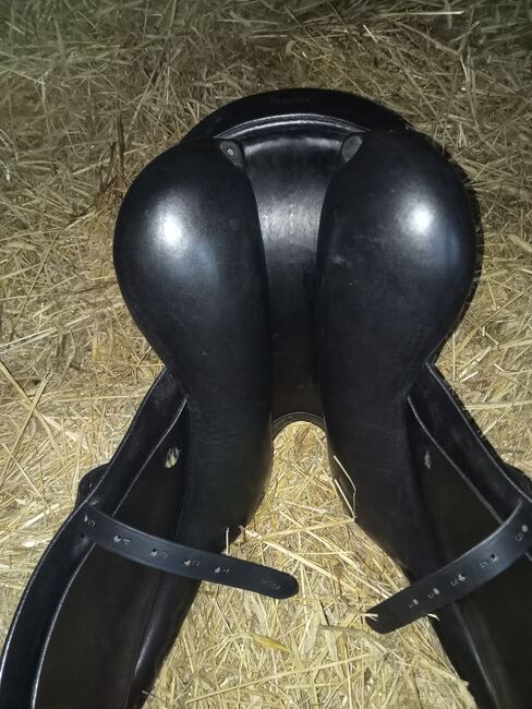 Prestige 17/ 32 VS, Prestige Silver Star, Jennifer Vehrenkamp, All Purpose Saddle, Husum , Image 10