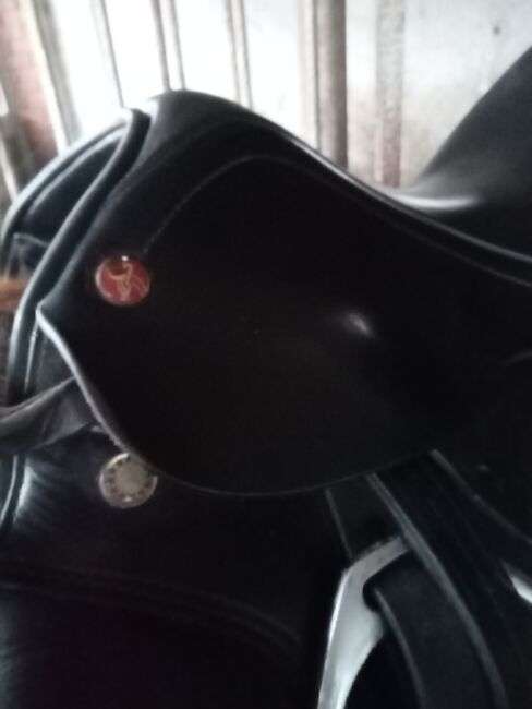 Prestige 17/ 32 VS, Prestige Silver Star, Jennifer Vehrenkamp, All Purpose Saddle, Husum , Image 6