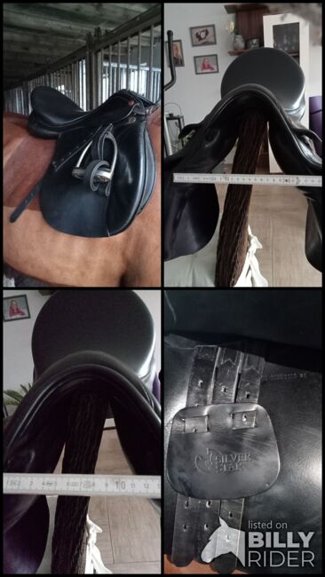 Prestige 17/ 32 VS, Prestige Silver Star, Jennifer Vehrenkamp, All Purpose Saddle, Husum , Image 11