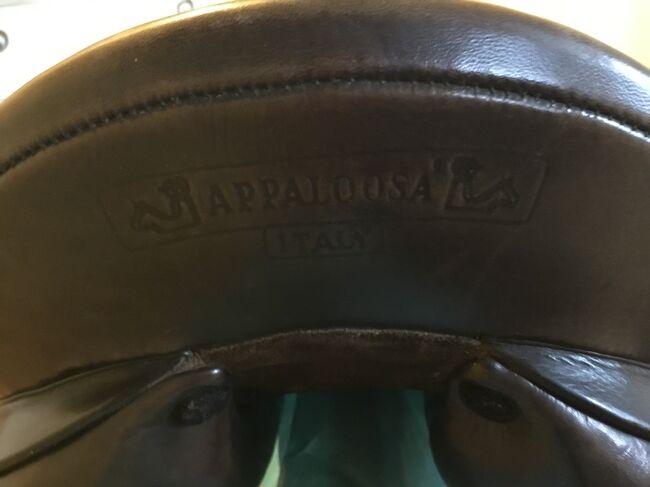 Prestige Appaloosa, Prestige Appaloosa , Silke , Dressage Saddle, Eriskirch, Image 2