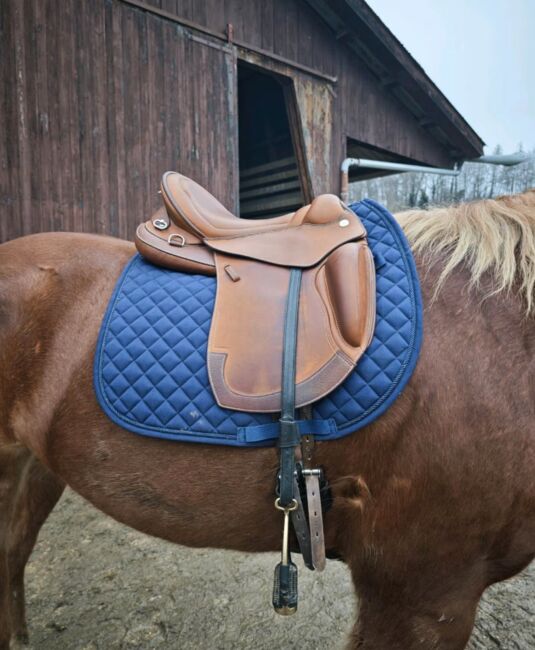 Prestige Atena Evo HP 18/35 VS VSD Sattel Wanderreitsattel, Prestige Atena Evo HP, Nadine Semrau, Wanderreitsattel, Kreuzlingen