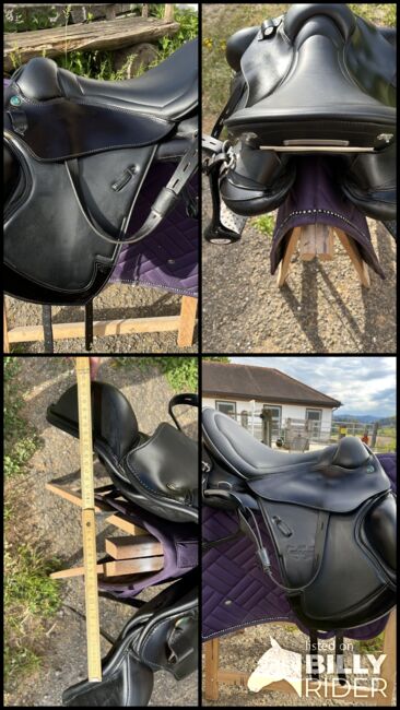 Prestige Athena wanderreitsattel/Dressursattel Monoblatt, Prestige  Athena , Alexandra , Endurance Saddle, Hohentannen, Image 14