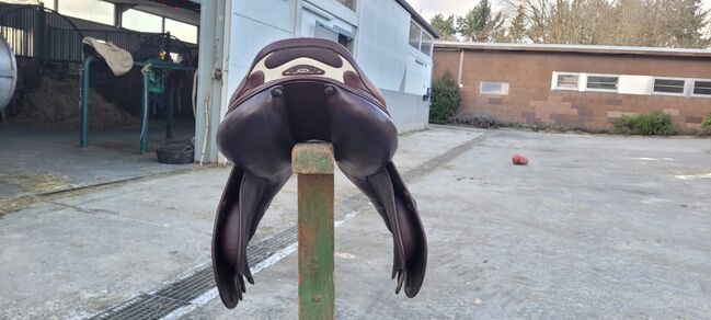 Prestige  Braun, Prestige X-Perience, Georgina , Jumping Saddle, Riedstadt, Image 2